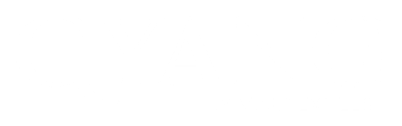 Client brand 11 — built by Virtue and Wisdom branding agency in Udaipur