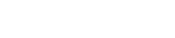 Client brand 12 — built by Virtue and Wisdom branding agency in Udaipur